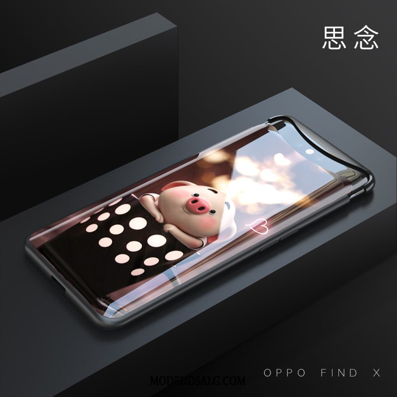 Oppo Find X Etui Membrane Kreativ Alt Inklusive Cover Glas