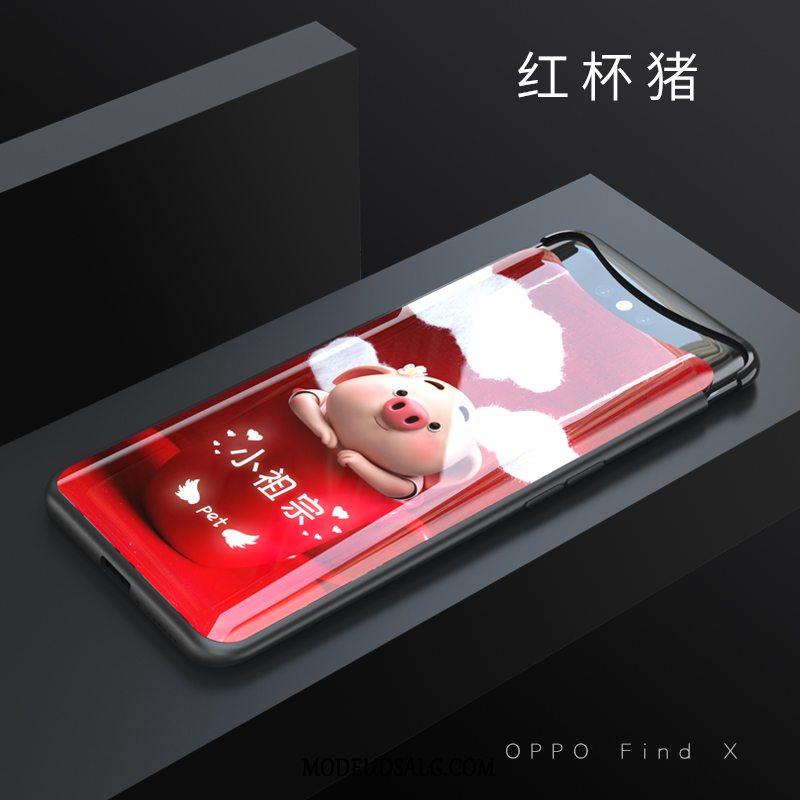 Oppo Find X Etui Membrane Kreativ Alt Inklusive Cover Glas