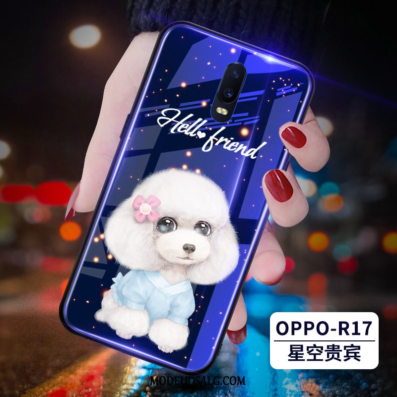 Oppo R17 Etui Af Personlighed Silikone Kreativ Smuk Trendy