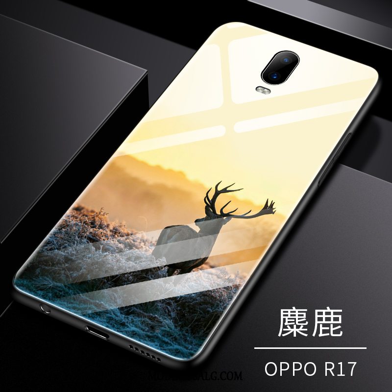 Oppo R17 Etui Af Personlighed Tynd Elskeren Glas Alt Inklusive