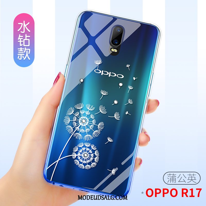 Oppo R17 Etui Af Personlighed Tynd Gennemsigtig Net Red Silikone