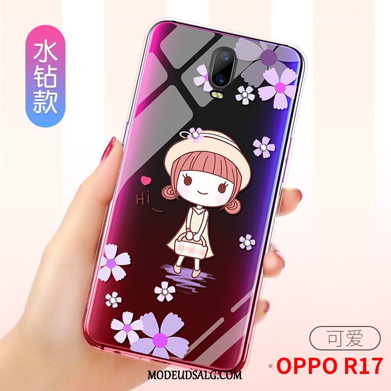 Oppo R17 Etui Af Personlighed Tynd Gennemsigtig Net Red Silikone