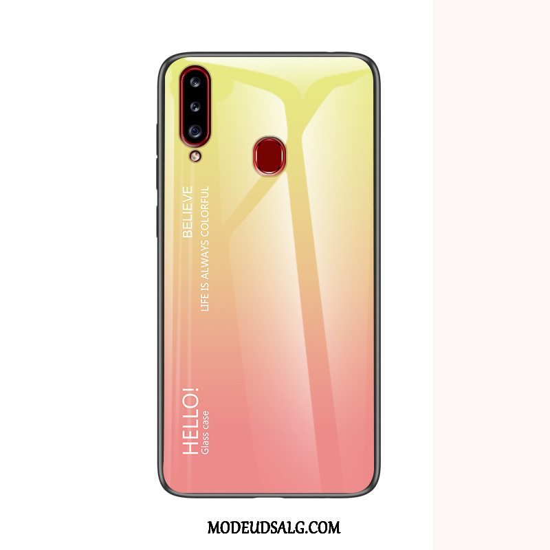 Samsung Galaxy A20s Etui Gradient Cover Beskyttelse Hård Trendy