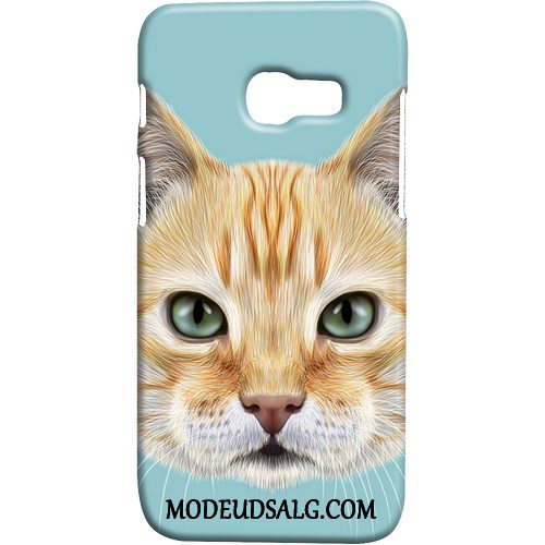 Samsung Galaxy A3 2017 Etui Nubuck Kat Cover Hund Kreativ