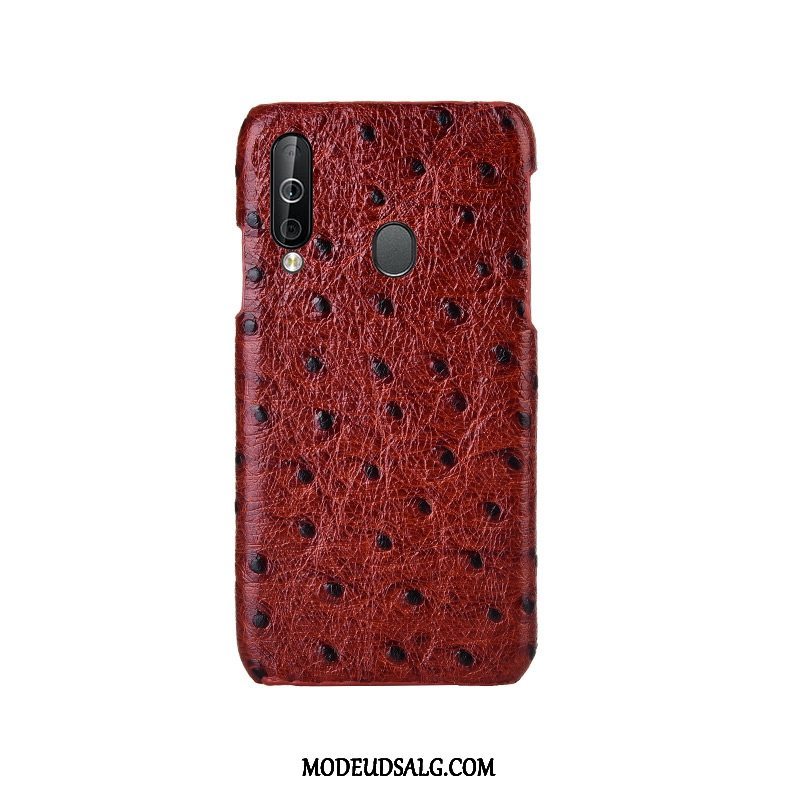 Samsung Galaxy A40s Etui Ægte Læder Fugl Mode Beskyttelse Cover