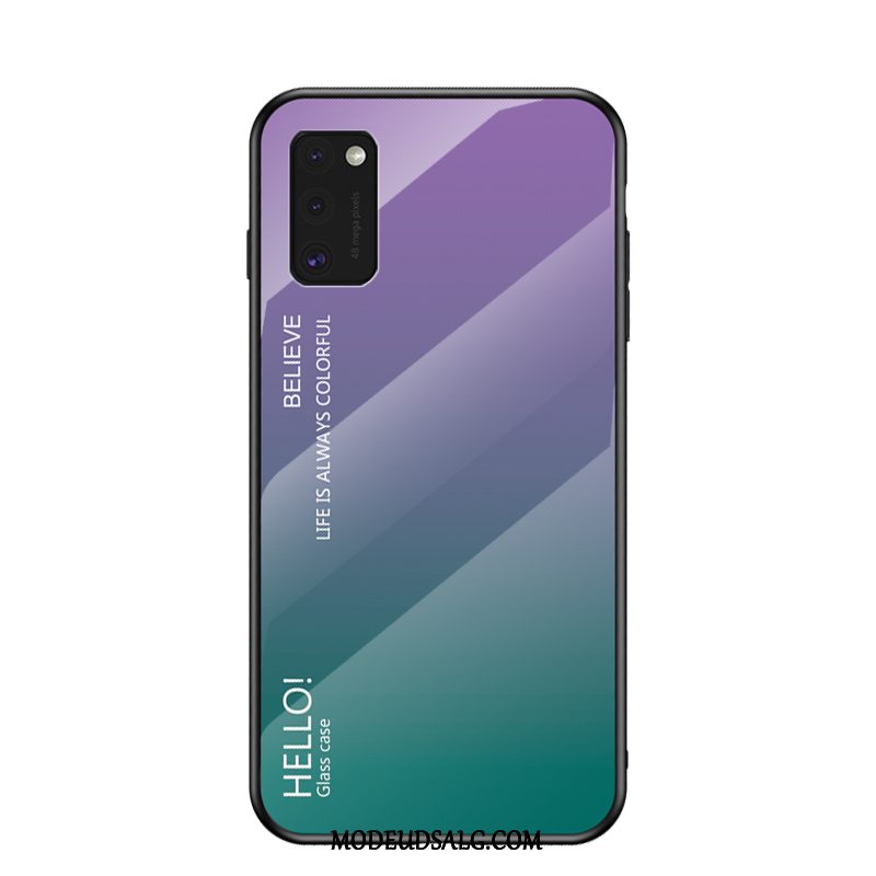 Samsung Galaxy A41 Etui Beskyttelse Alt Inklusive Glas Blå Malet