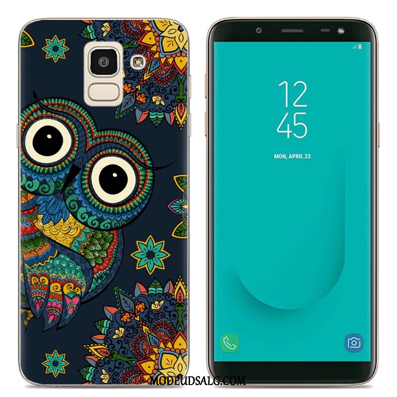 Samsung Galaxy J6 Etui Gennemsigtig Cartoon Silikone-etui Kreativ Farve