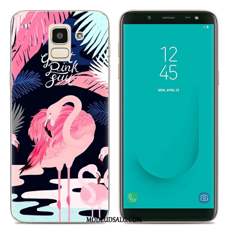 Samsung Galaxy J6 Etui Gennemsigtig Cartoon Silikone-etui Kreativ Farve