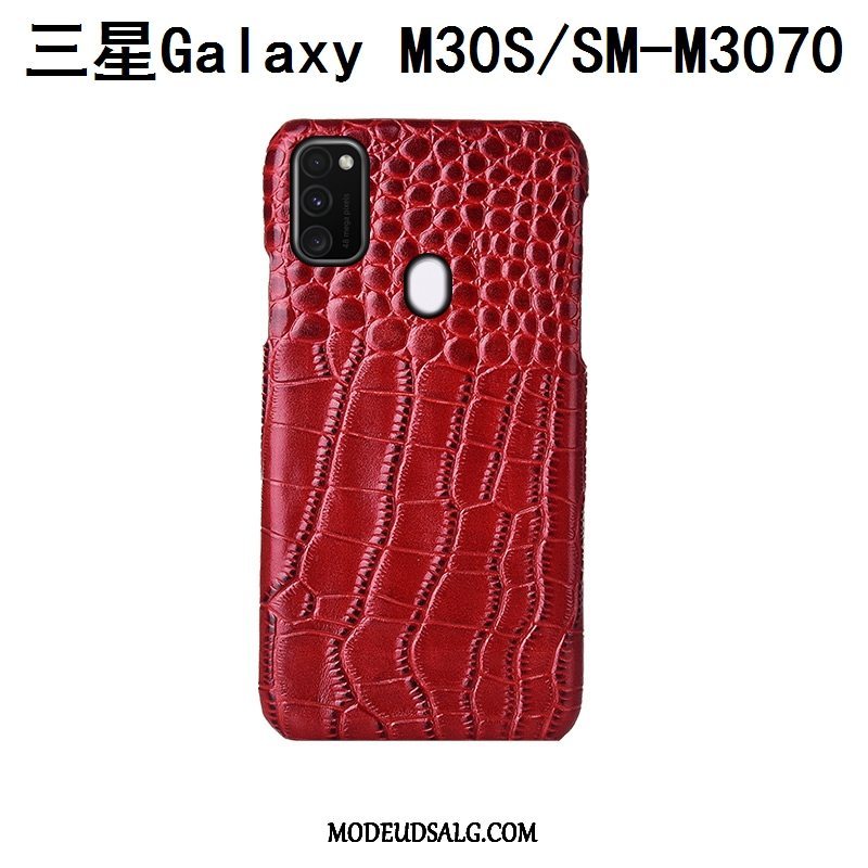 Samsung Galaxy M30s Etui Cover Bagdæksel Beskyttelse Tilpas Fugl