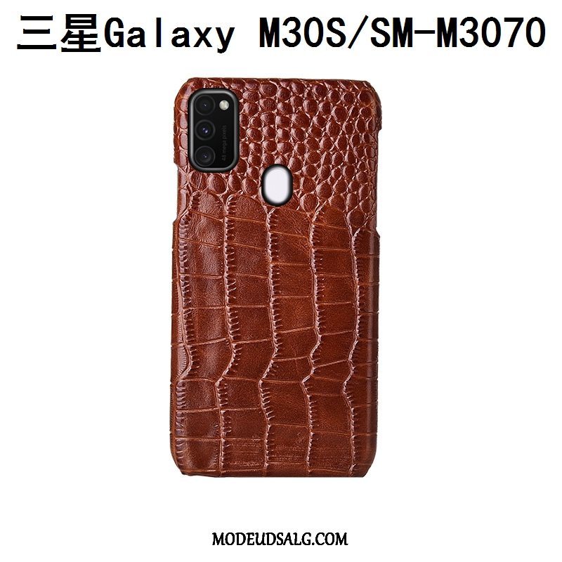 Samsung Galaxy M30s Etui Cover Bagdæksel Beskyttelse Tilpas Fugl