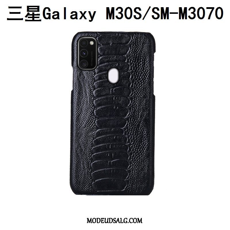 Samsung Galaxy M30s Etui / Cover Fugl Tilpas Beskyttelse Ægte Læder