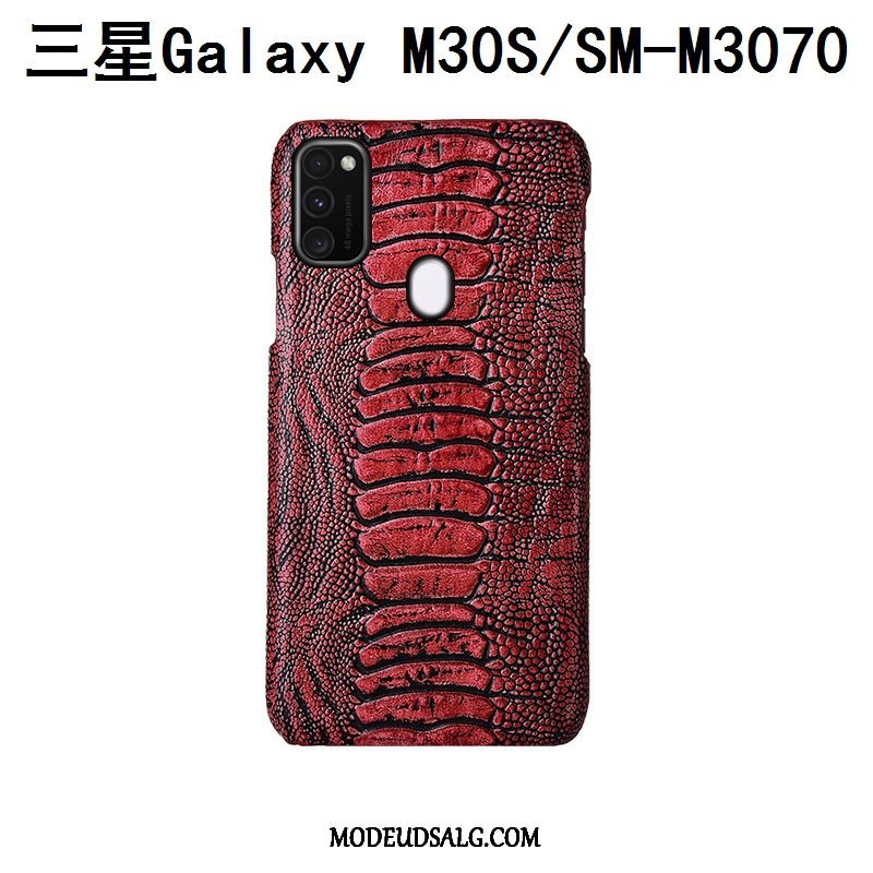 Samsung Galaxy M30s Etui / Cover Fugl Tilpas Beskyttelse Ægte Læder