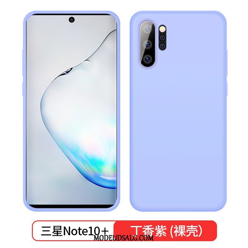 Samsung Galaxy Note 10+ Etui Silikone Blød Blå Trend Tynd