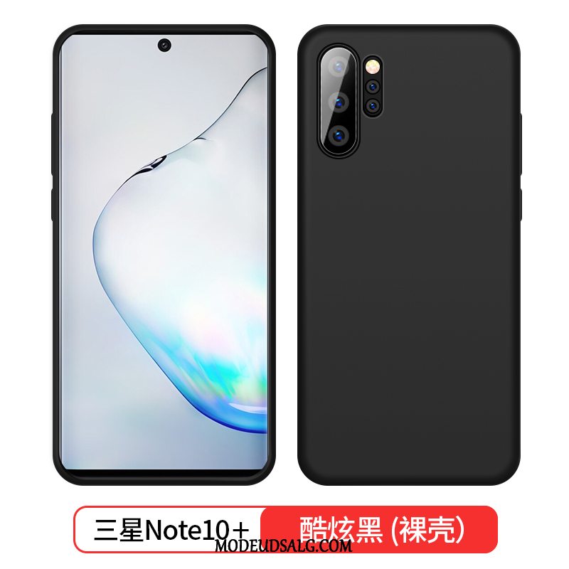 Samsung Galaxy Note 10+ Etui Silikone Blød Blå Trend Tynd