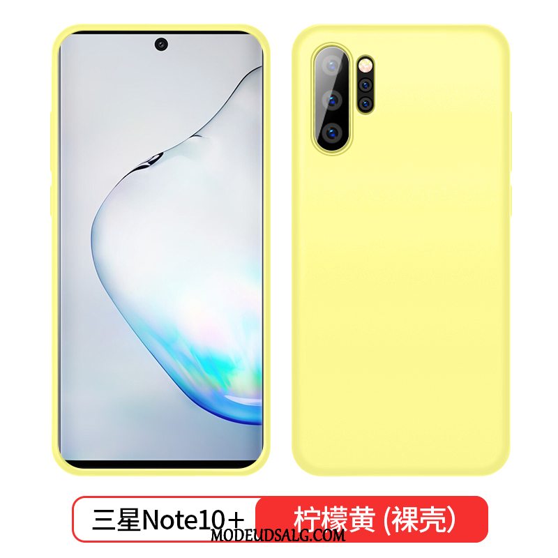 Samsung Galaxy Note 10+ Etui Silikone Blød Blå Trend Tynd