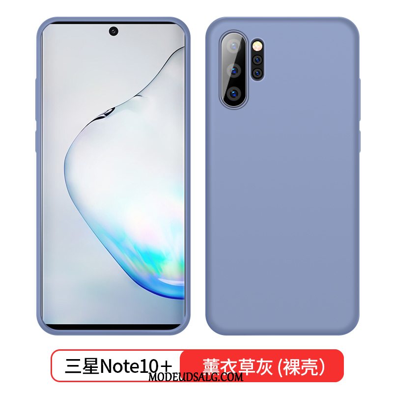 Samsung Galaxy Note 10+ Etui Silikone Blød Blå Trend Tynd