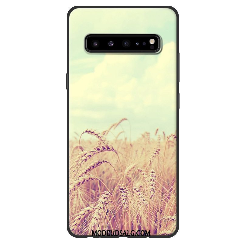 Samsung Galaxy S10 5g Etui Beskyttelse Sort Lyserød Blød Nubuck