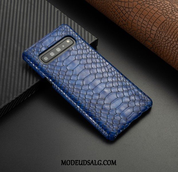 Samsung Galaxy S10 5g Etui / Cover Beskyttelse Blå Læder Business