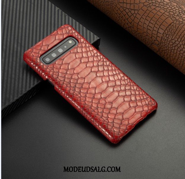 Samsung Galaxy S10 5g Etui / Cover Beskyttelse Blå Læder Business