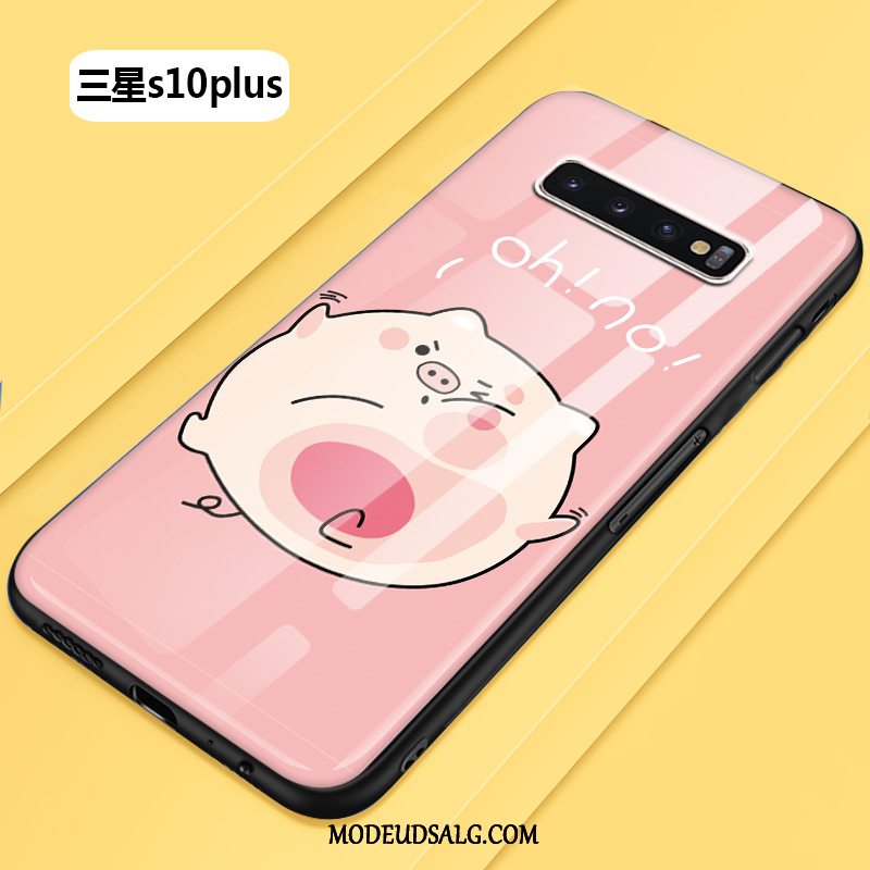 Samsung Galaxy S10+ Etui Beskyttelse Smuk Hård Cover Alt Inklusive