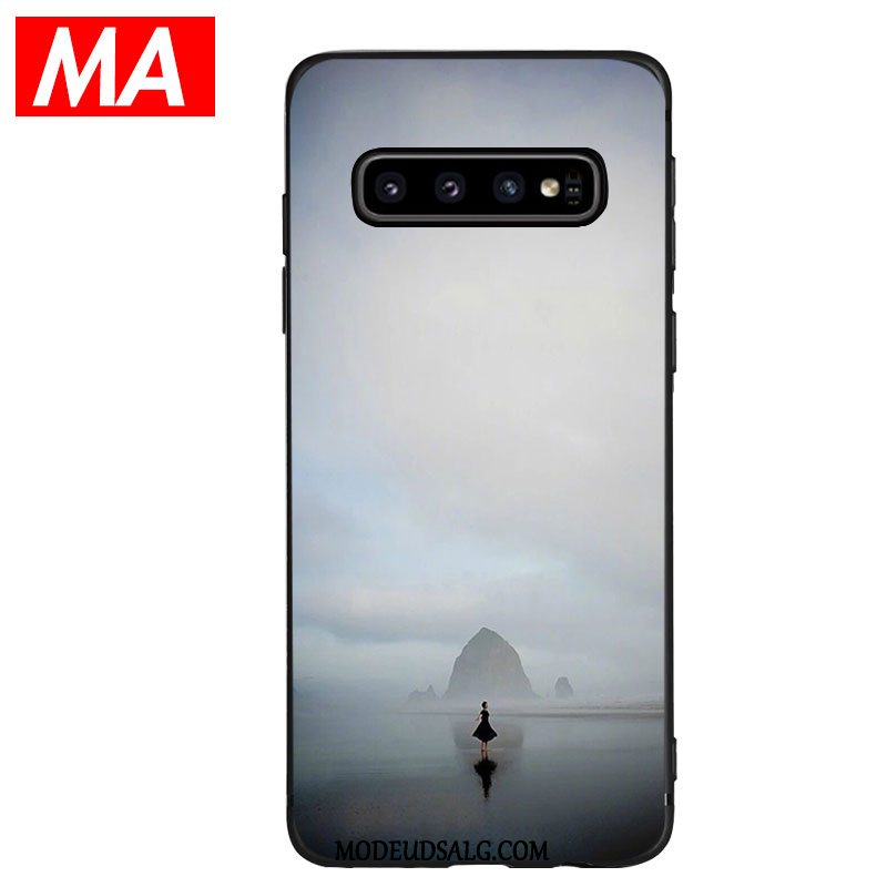 Samsung Galaxy S10+ Etui Blød Grå Smukke Beskyttelse Cover