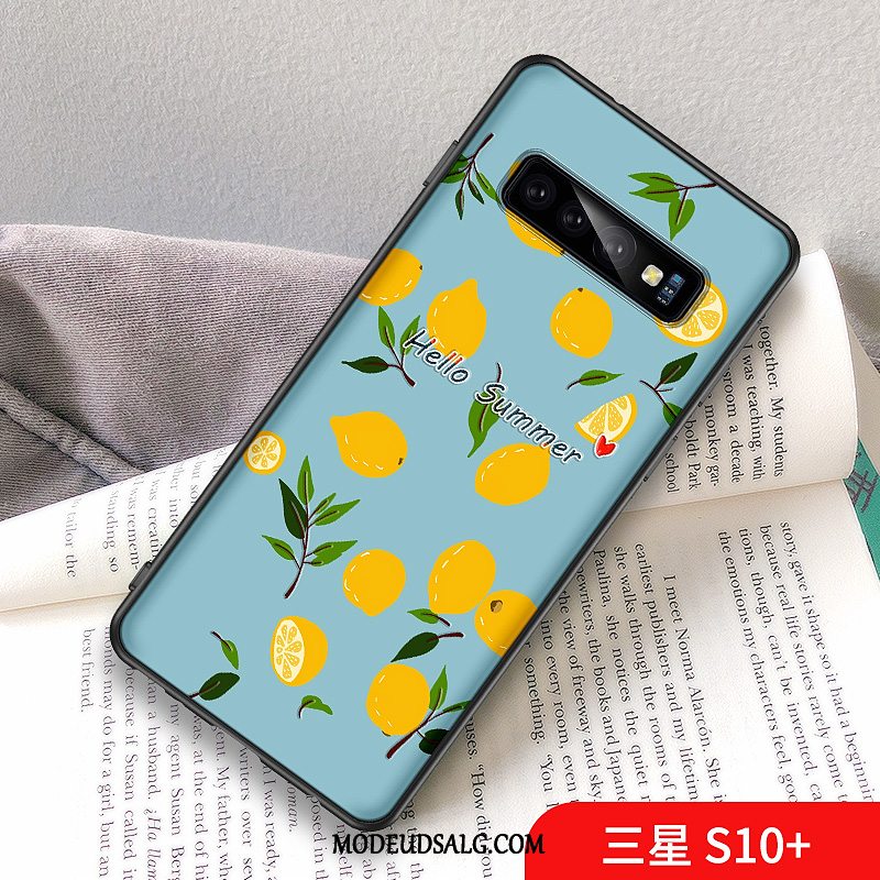 Samsung Galaxy S10+ Etui Citron Af Personlighed Lille Sektion Grøn Frisk