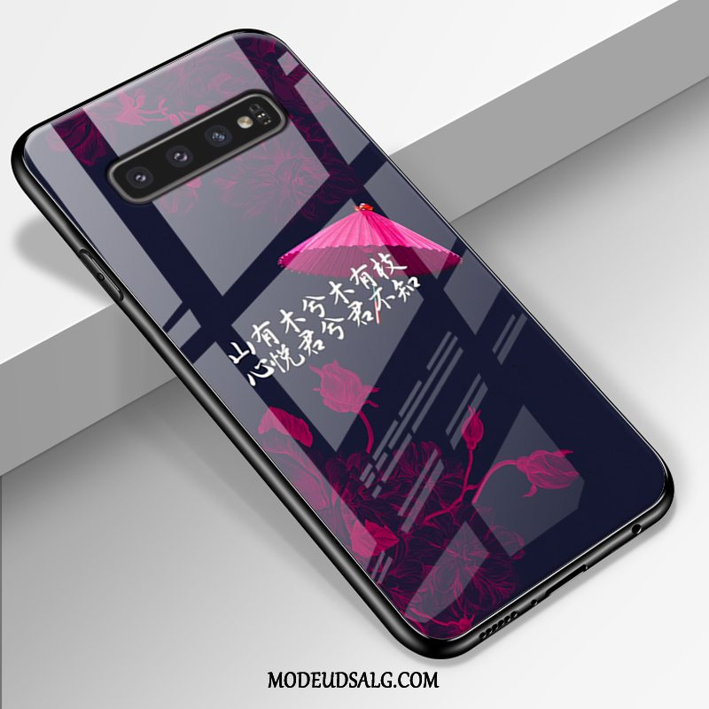 Samsung Galaxy S10+ Etui Cover Alt Inklusive Spejl Blød Af Personlighed