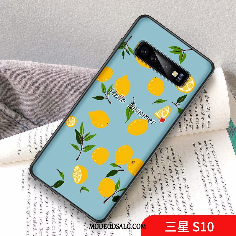 Samsung Galaxy S10 Etui / Cover Citron Af Personlighed Cool Lille Sektion