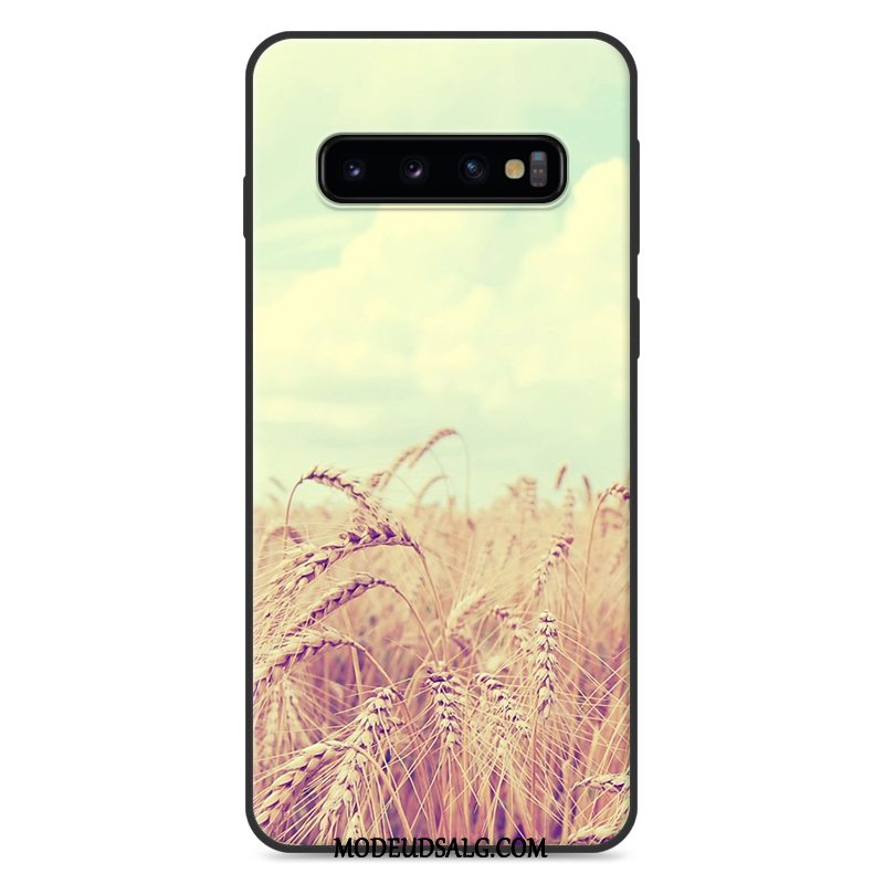 Samsung Galaxy S10+ Etui / Cover Farve Anti-fald Smuk Lille Sektion