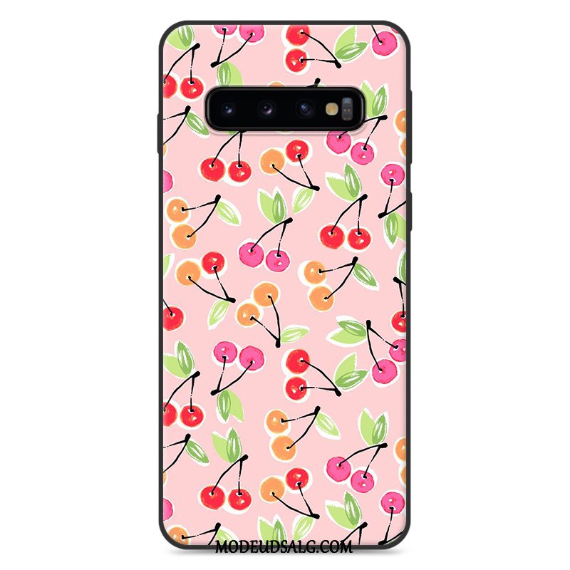 Samsung Galaxy S10+ Etui / Cover Farve Anti-fald Smuk Lille Sektion