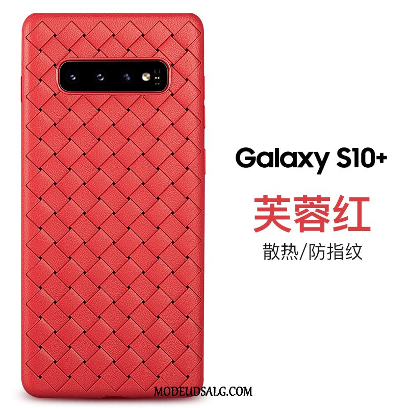 Samsung Galaxy S10+ Etui / Cover Strikkede Mønster Blå Blød