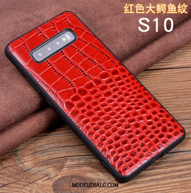 Samsung Galaxy S10 Etui Silikone Blød Krokodille Mønster High End Anti-fald