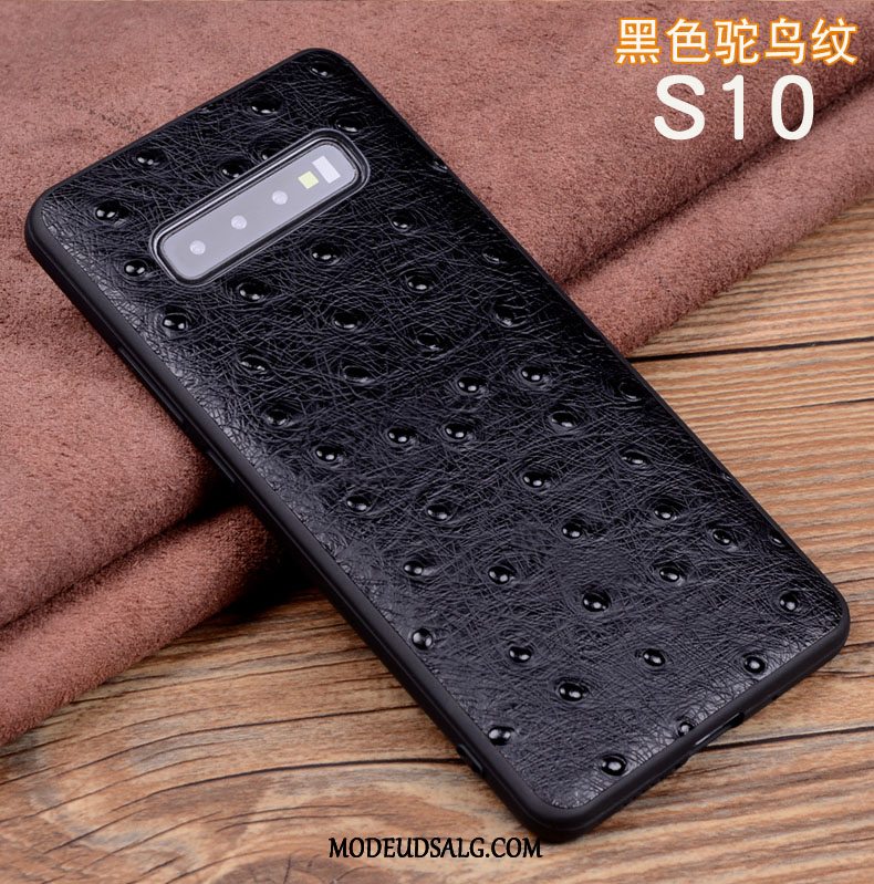 Samsung Galaxy S10 Etui Silikone Blød Krokodille Mønster High End Anti-fald