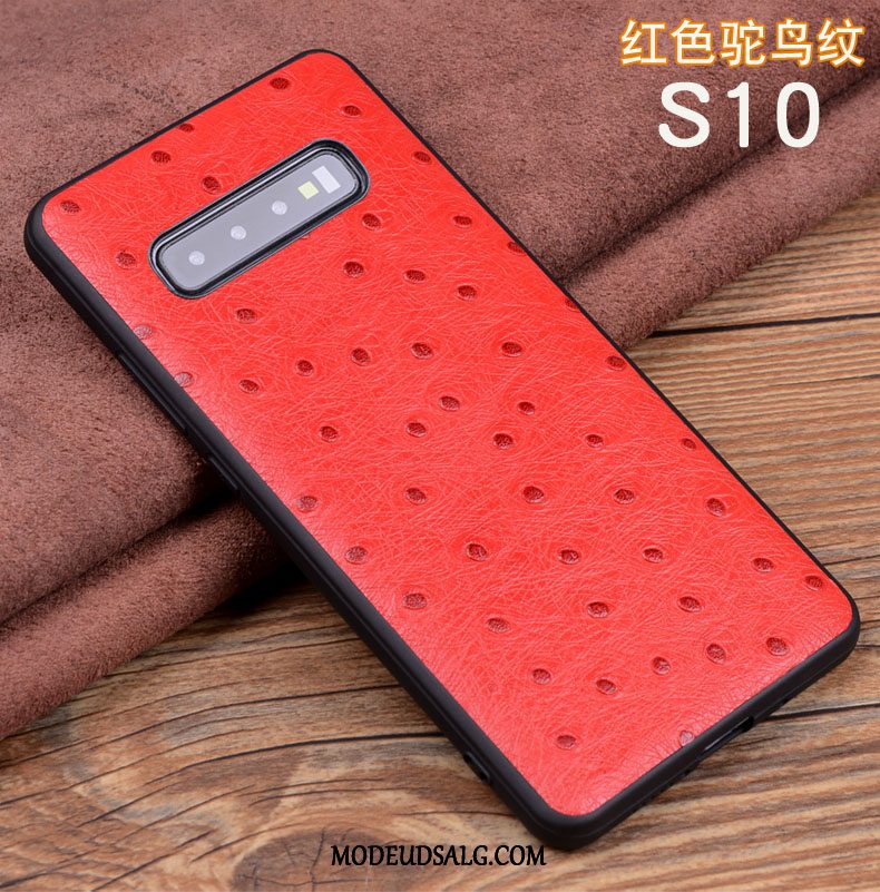 Samsung Galaxy S10 Etui Silikone Blød Krokodille Mønster High End Anti-fald