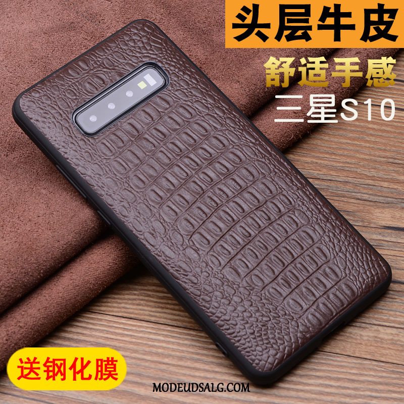 Samsung Galaxy S10 Etui Silikone Blød Krokodille Mønster High End Anti-fald