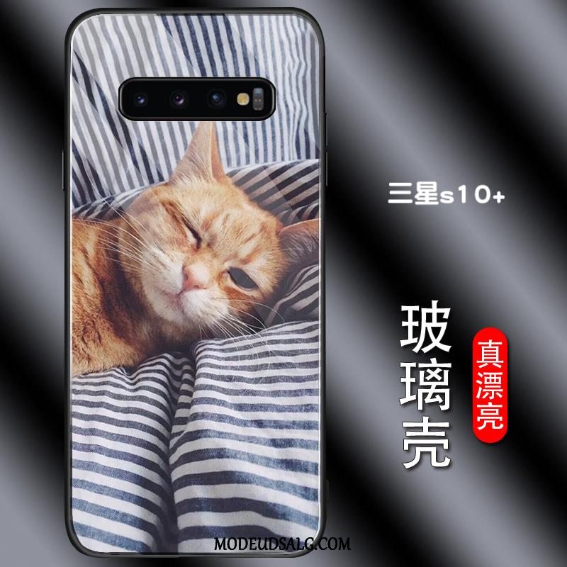 Samsung Galaxy S10+ Etui Trend Anti-fald Kat Smuk Blå