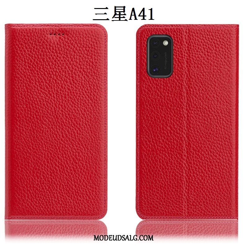 Samsung Galaxy S41 Etui Alt Inklusive Anti-fald Litchi Ægte Læder Cover