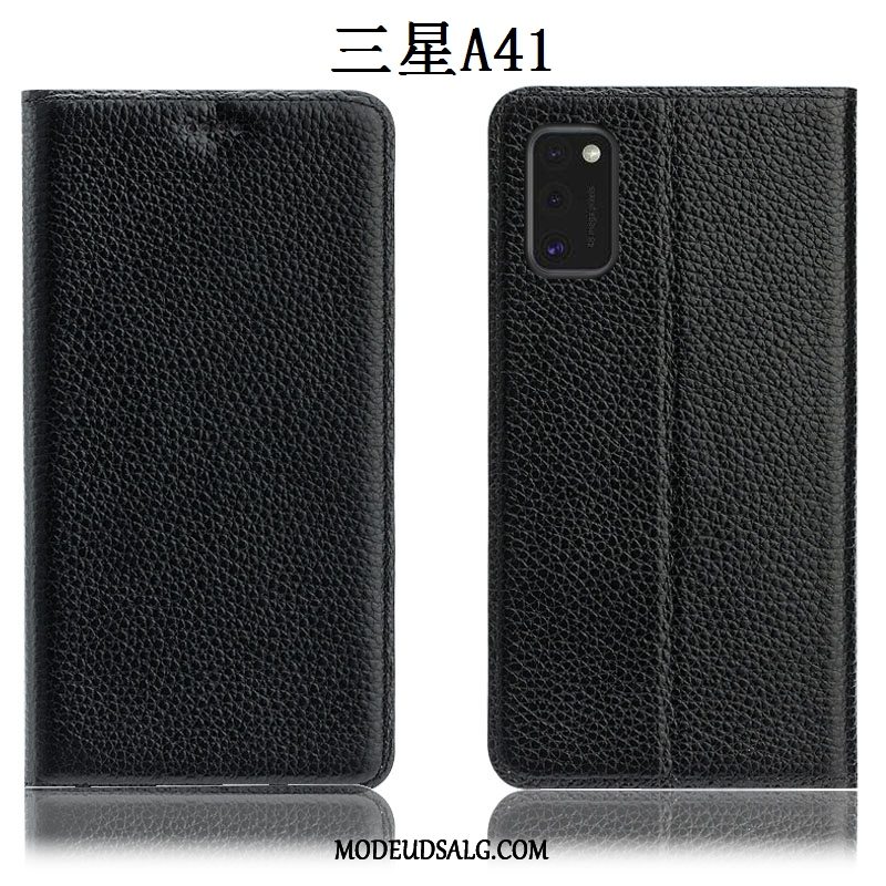 Samsung Galaxy S41 Etui Alt Inklusive Anti-fald Litchi Ægte Læder Cover