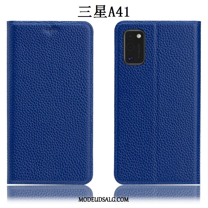 Samsung Galaxy S41 Etui Alt Inklusive Anti-fald Litchi Ægte Læder Cover