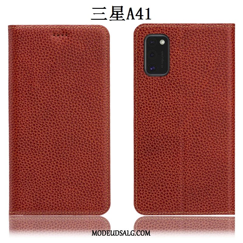 Samsung Galaxy S41 Etui Alt Inklusive Anti-fald Litchi Ægte Læder Cover