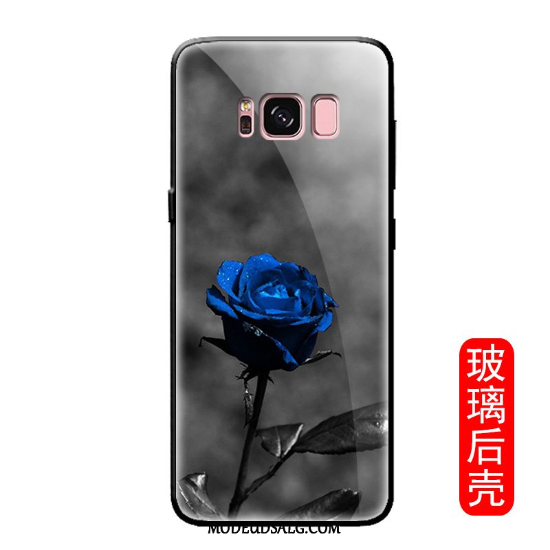 Samsung Galaxy S8+ Etui Alt Inklusive Rose Hærdet Glas Frisk Spejl