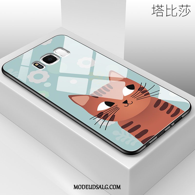 Samsung Galaxy S8+ Etui / Cover Trend Kat Beskyttelse Alt Inklusive Blød