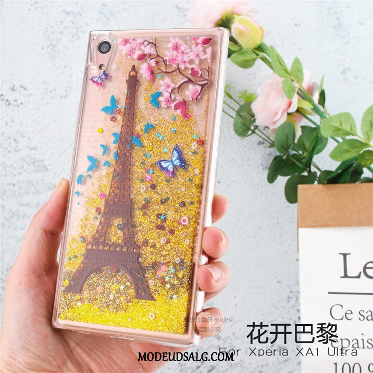 Sony Xperia Xa1 Etui Blød Malet Cover Kreativ Anti-fald