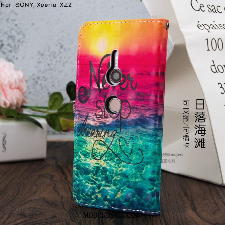 Sony Xperia Xz2 Etui Lædertaske Support Cover Blød Cartoon