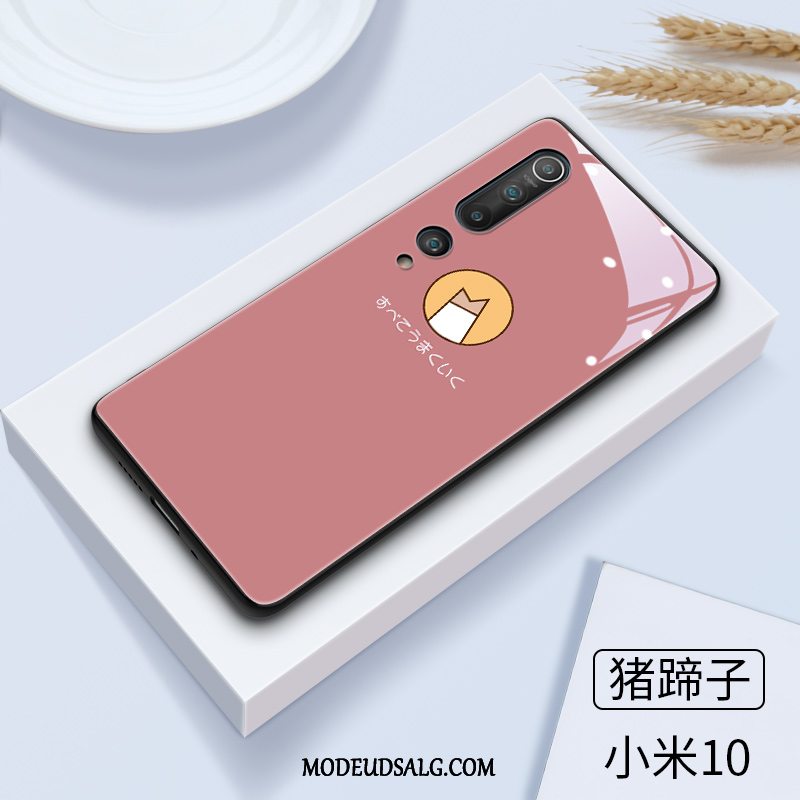 Xiaomi Mi 10 Etui Cartoon Glas Silikone Kat Smuk