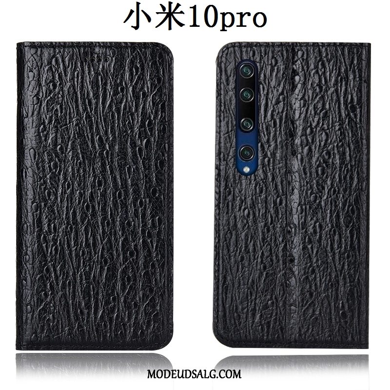 Xiaomi Mi 10 Pro Etui / Cover Anti-fald Lædertaske Fugl Folio Mønster