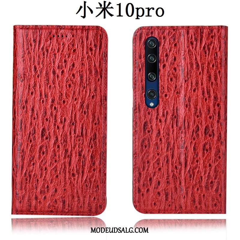 Xiaomi Mi 10 Pro Etui / Cover Anti-fald Lædertaske Fugl Folio Mønster