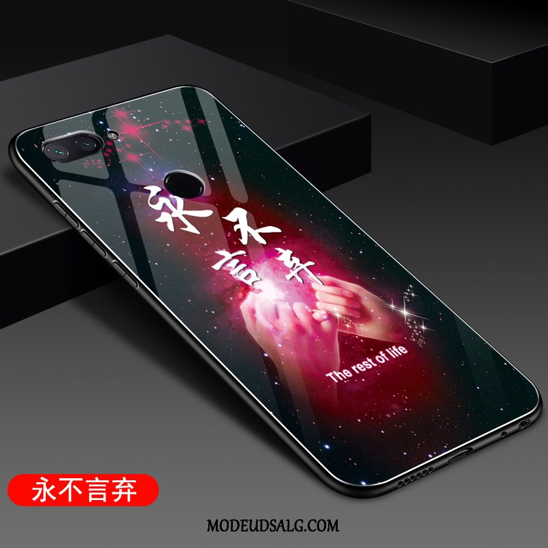 Xiaomi Mi 8 Lite Etui / Cover Lille Sektion Lilla Glas Ungdom