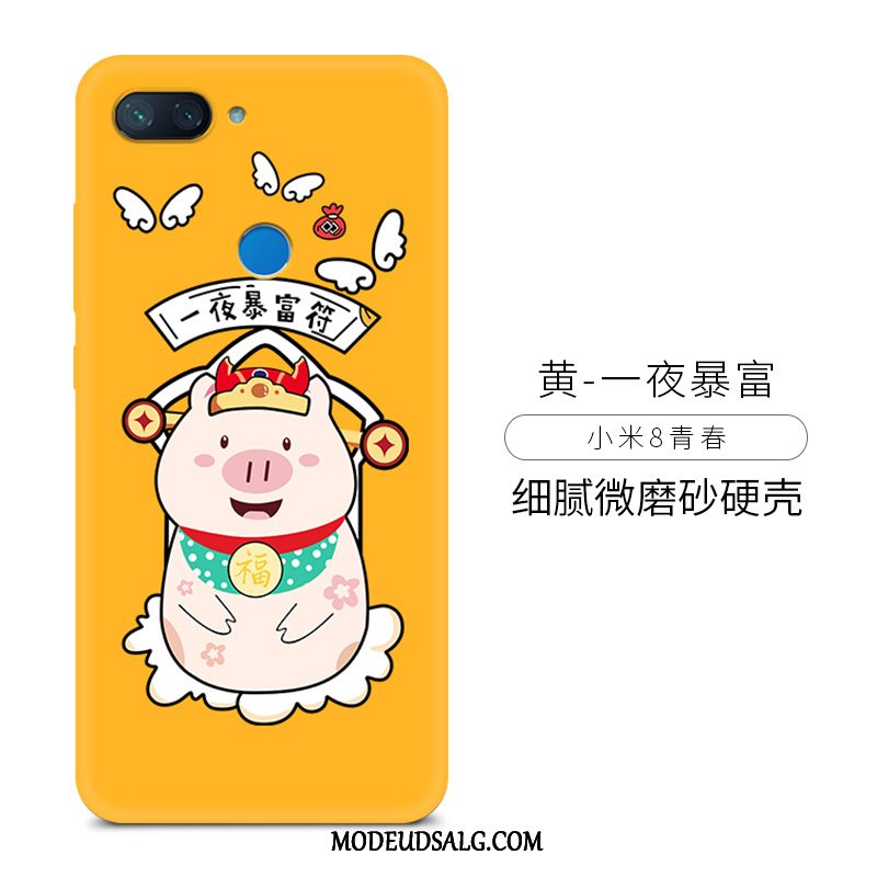 Xiaomi Mi 8 Lite Etui Kreativ Trend Mønster Alt Inklusive Cover