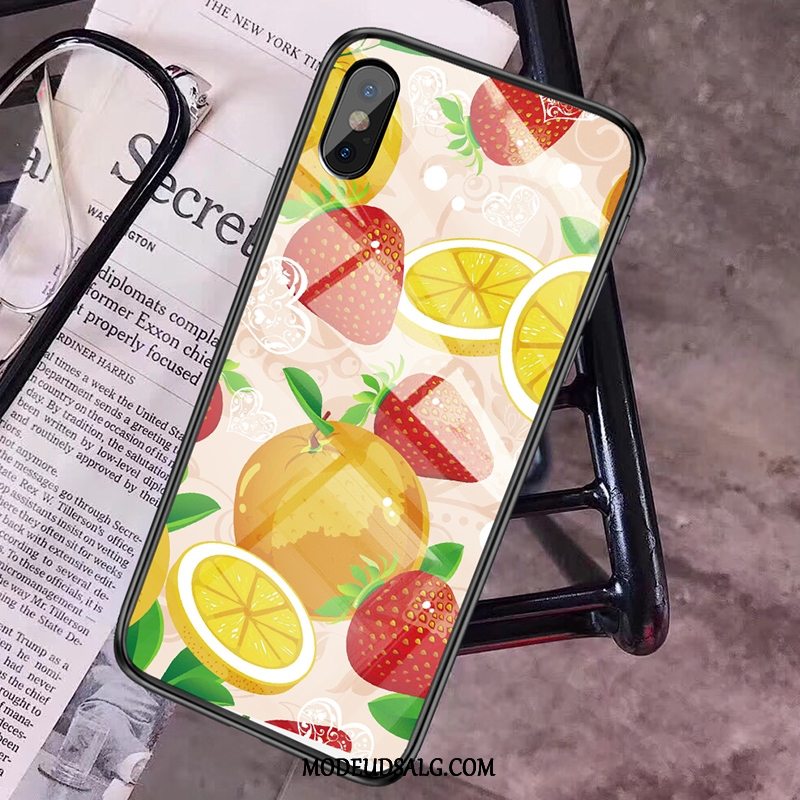 Xiaomi Mi 8 Pro Etui Lille Sektion Glas Elskeren Cover Frisk